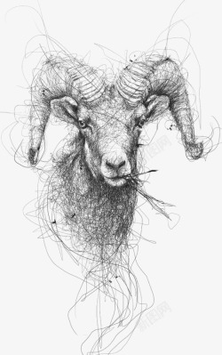 手绘羊角素描山羊高清图片