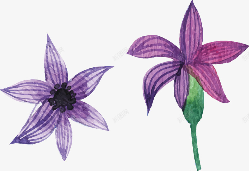 紫色的花儿png免抠素材_新图网 https://ixintu.com 彩绘 手工 手绘 树叶 植物 植被 水彩画 油漆 花卉 风格