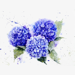 水彩花球手绘水彩蓝色丁香花插画高清图片