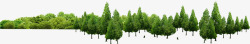 绿树森林美景园林素材