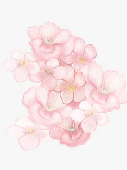 好看的樱花手绘插画樱花高清图片