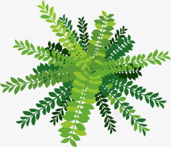 家庭植物含羞草卡通绿植高清图片