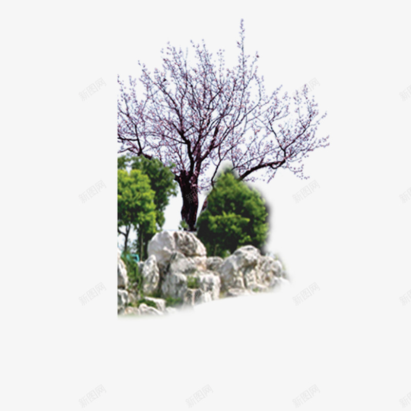 植物树森林树叶png免抠素材_新图网 https://ixintu.com 树 树叶 森林 植物