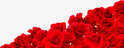情人节红玫瑰背景图素材