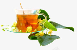 特级蜂蜜柚子茶手绘水蜂蜜柚子茶图高清图片