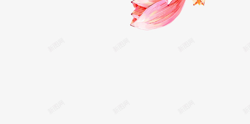 手绘花装饰psd免抠素材_新图网 https://ixintu.com 手绘花朵免费下载 标签花 植物 装饰 颜色 风格