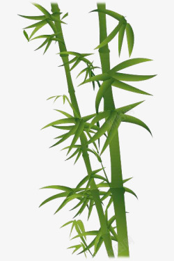 绿色竹子装饰图素材