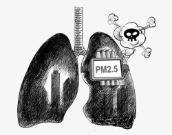 PM25严重肺部高清图片