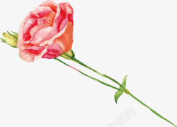 手绘盆景玫瑰装饰盆景花盆矢量图高清图片