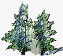 创意室外森林树木png免抠素材_新图网 https://ixintu.com 创意 室外 树木 森林