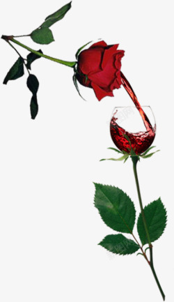 玫瑰红酒红色玫瑰红酒高清图片