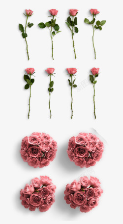 情人节玫瑰花透明元素素材