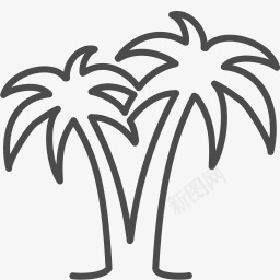 手掌图标png_新图网 https://ixintu.com palm palms resort tree vacation 假期 度假胜地 手掌 树 棕榈