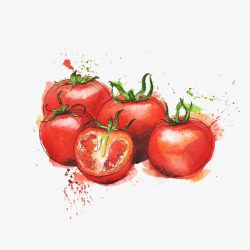 成熟柿子水彩插画西红柿高清图片
