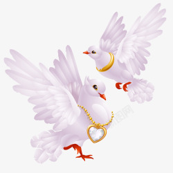 卡通虫鸟素材动物插画森林飞翔的小鸽子高清图片