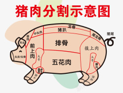 超市猪肉猪肉分割示意图高清图片
