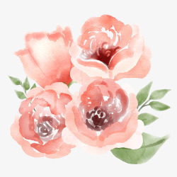 4朵水彩绘4朵粉色玫瑰花矢量图高清图片