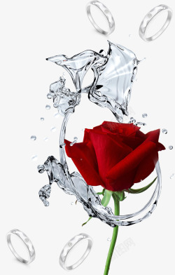 情人节玫瑰花装饰图案素材
