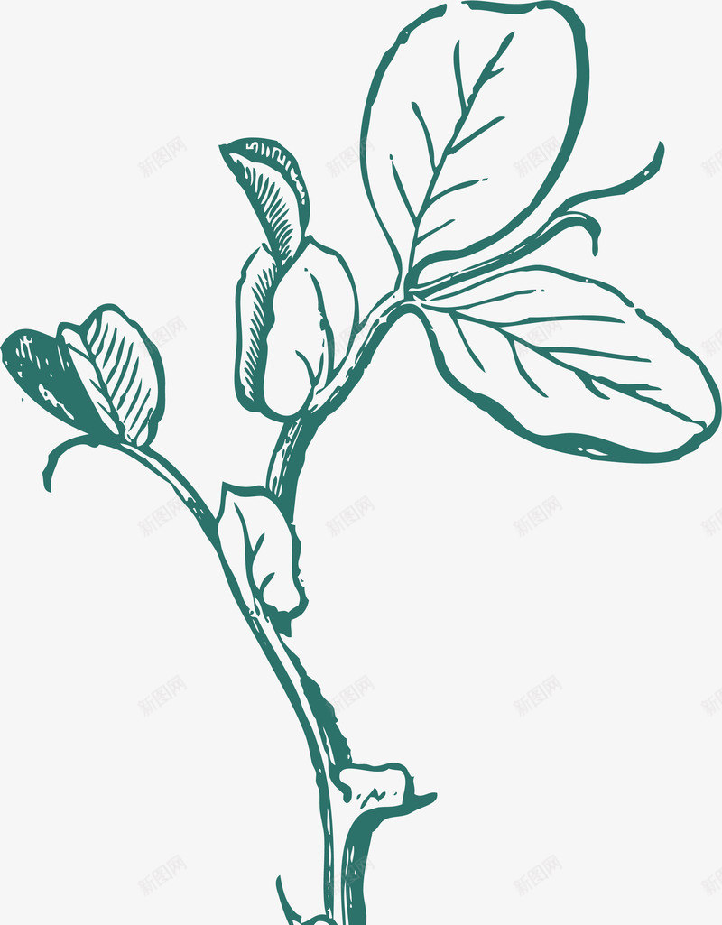 卡通秋分叶子手绘线稿矢量图ai免抠素材_新图网 https://ixintu.com 丰收 写真在线 叶子手绘线稿 插画 矢量图 秋天 秋天植物 秋季 种子发芽