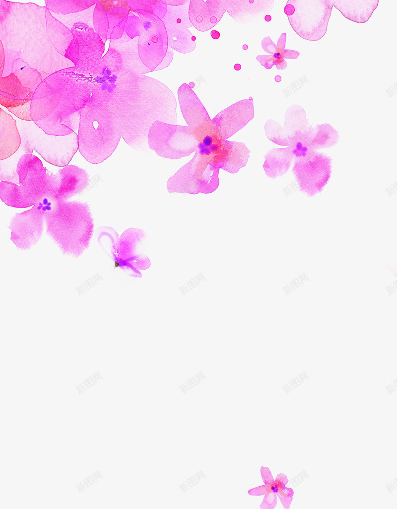 手绘粉色水彩花朵装饰春天png免抠素材_新图网 https://ixintu.com 春天 水彩 粉色 花朵 装饰
