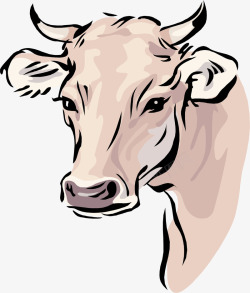 牛头插画卡通牛头插画高清图片