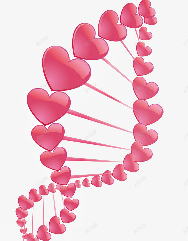 粉色爱心DNA装饰图png免抠素材_新图网 https://ixintu.com DNA 婚庆 情人节 爱心 节日元素 装饰图案