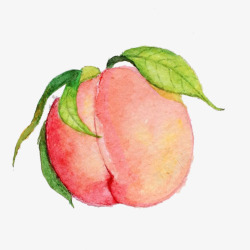 手绘桃子水蜜桃手绘画片高清图片