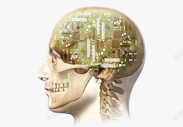 大脑电路png免抠素材_新图网 https://ixintu.com 人体 人工智能 科技电路 骨骼