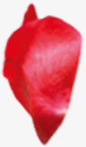红色花瓣海报背景七夕情人节素材