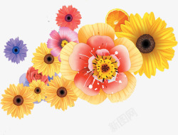 春天手绘彩色花朵合集素材