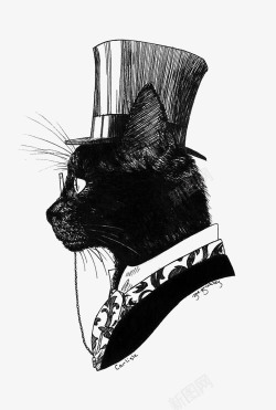 插画拳击男人手绘黑猫绅士高清图片