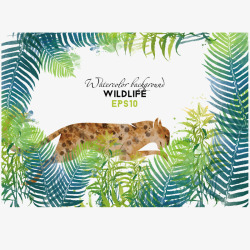 热带雨林植物热带树林里的豹子插图矢量图高清图片