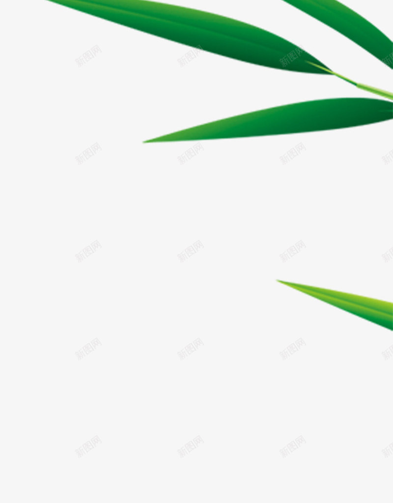 创意合成手绘质感绿色的竹子效果png免抠素材_新图网 https://ixintu.com 创意 合成 效果 竹子 绿色 质感