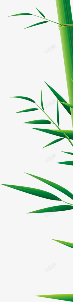 创意合成手绘质感绿色的竹子效果素材
