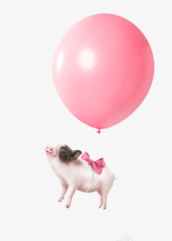 可爱的猪猪年可爱粉色气球的猪海报装饰高清图片