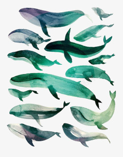 水彩鲸鱼素材蓝鲸高清图片
