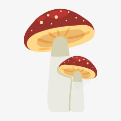 红灰色的蘑菇素材
