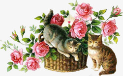 卡通手绘花朵动物小猫素材