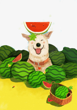 柴犬插画吃西瓜的柴犬高清图片