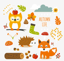 秋季猫头鹰20款秋季森林元素贴纸高清图片