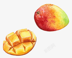矢量水果芒果芒果高清图片