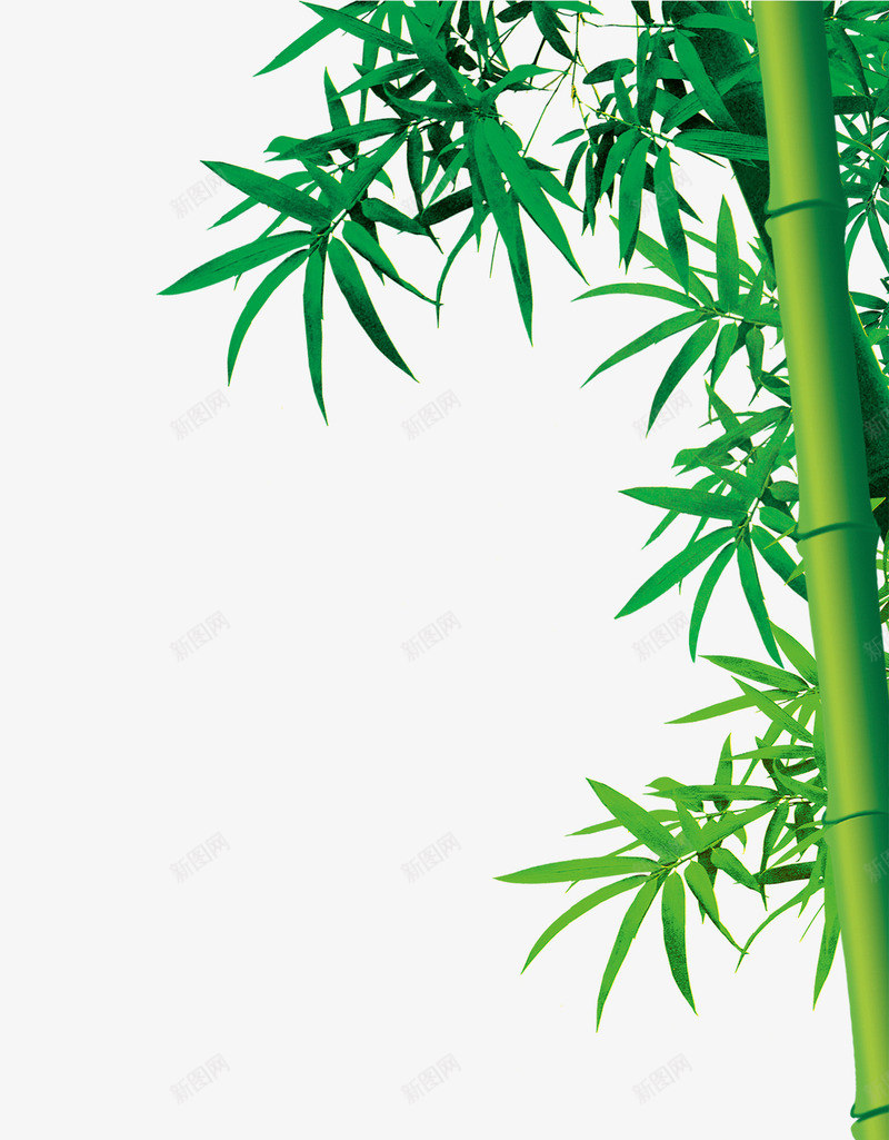 绿色清新竹子装饰图案png免抠素材_新图网 https://ixintu.com 中国风 清新 竹子 绿色 装饰图案