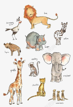 斑马插画手绘动物高清图片