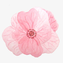 粉红色花朵手绘水彩小清新动物植素材