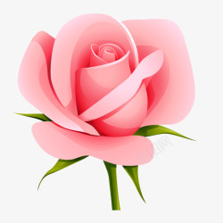 粉色花朵图案插画手绘粉色玫瑰花高清图片