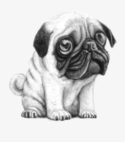 拉布拉多宠物犬手绘沙皮犬图标高清图片