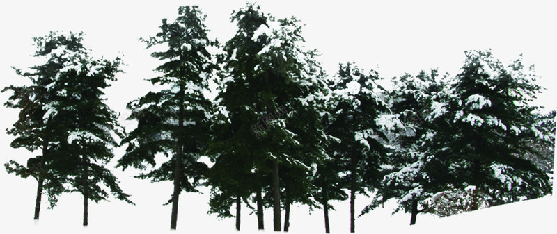 圣诞树木装饰森林冬日png免抠素材_新图网 https://ixintu.com 冬日 圣诞 树木 森林 装饰