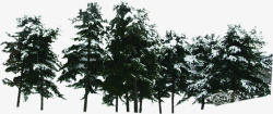 圣诞树木装饰森林冬日素材