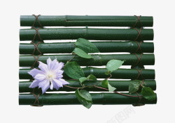 绿色竹排花朵竹排高清图片