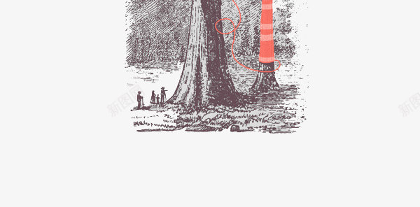 素描冬天的松树png免抠素材_新图网 https://ixintu.com 冬天的松树 坚韧不拔的松树 素描松树